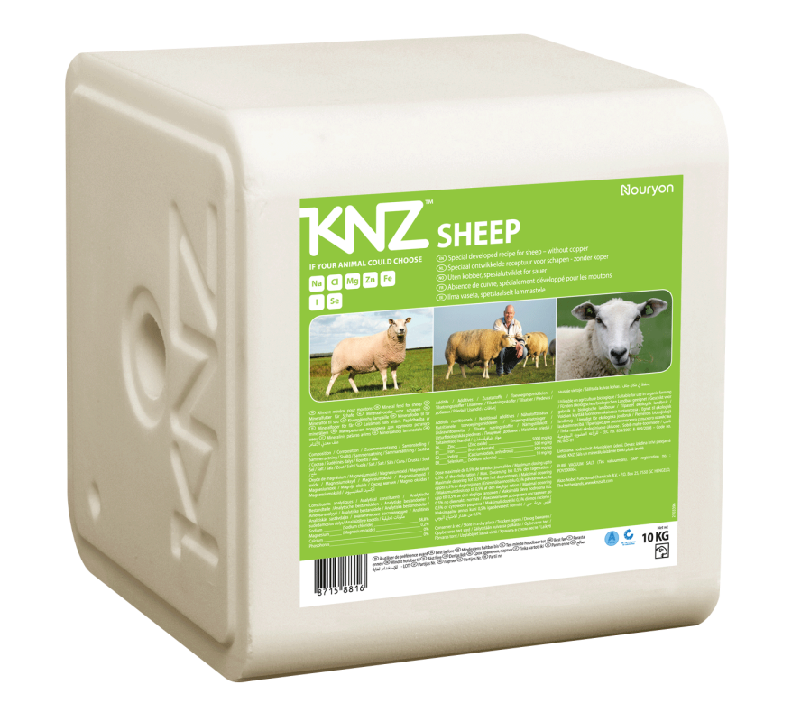 Laizāmais sāls KNZ Sheep
