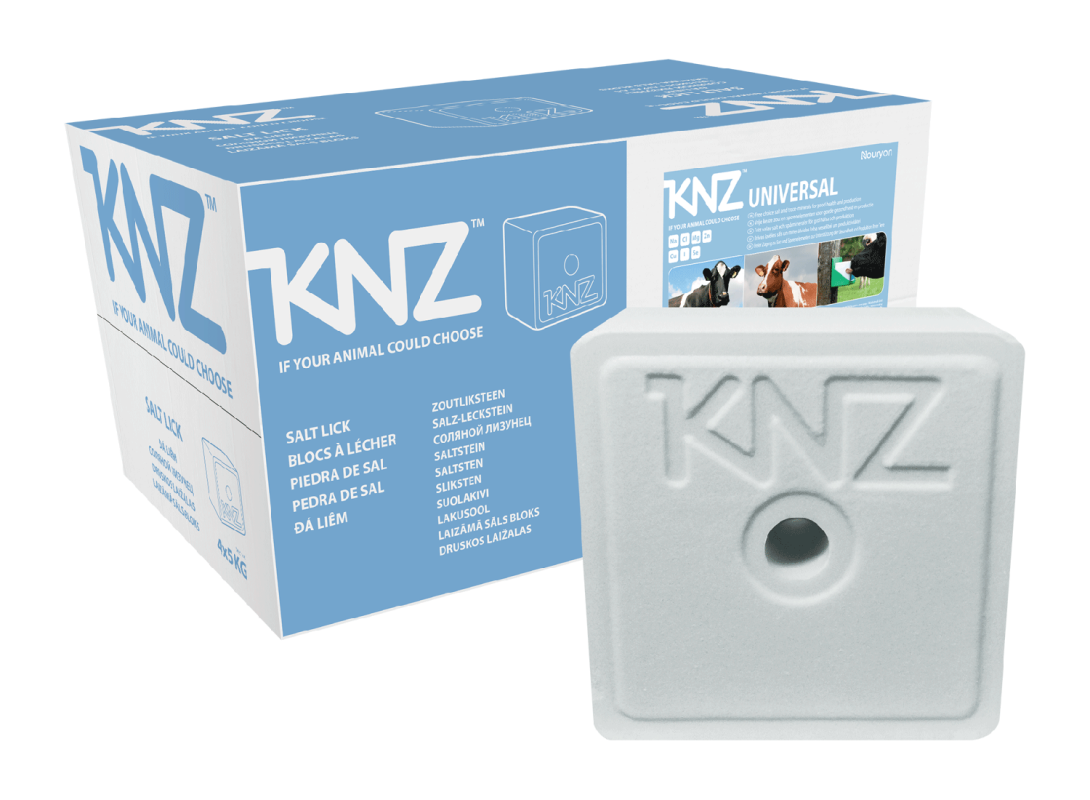 Laizāmais sāls KNZ Universal (ar selēnu)